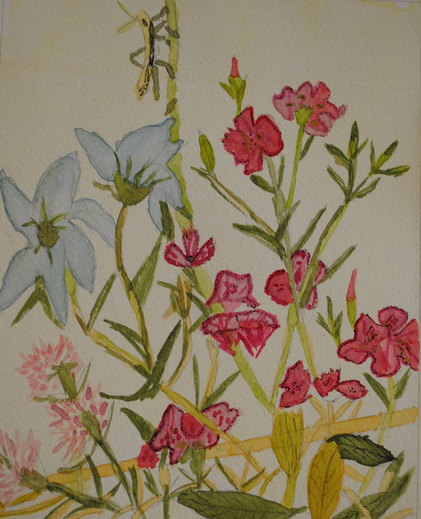 Pat's flowers